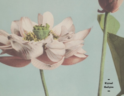 Hayatın İkinci Yarısı Kitap Özeti - Seryal Dinçer